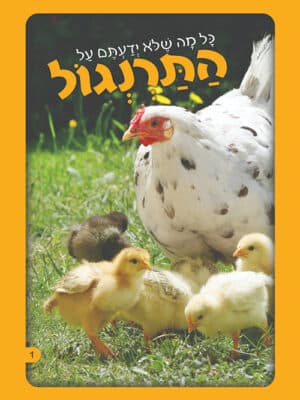 כל מה שלא ידעתם - על התרנגול