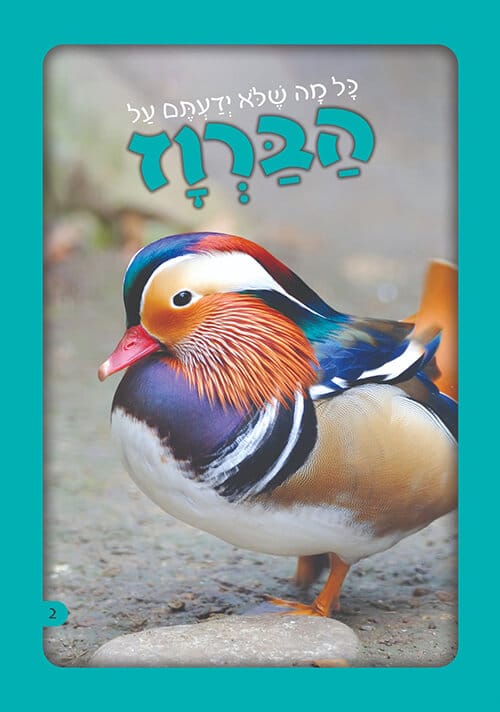 כל מה שלא ידעתם - על הברווז